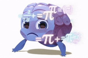 Confused College Life GIF