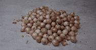 merge records onions GIF by Ought