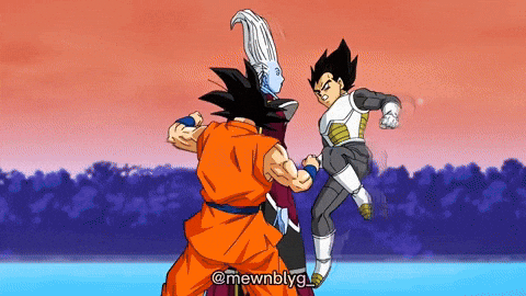 Training Sparing GIF