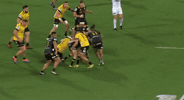 GIF by Rugbydump