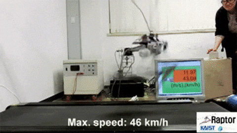 robot cheetah GIF