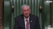 news uk parliament speaker of the house lindsay hoyle GIF