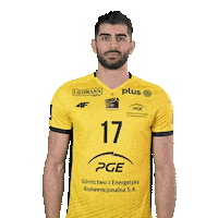 Volleyball Hello Sticker by PGE GiEK Skra Bełchatów
