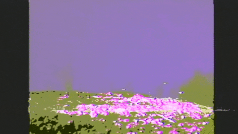 Video Art GIF by cskonopka