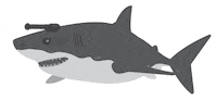 Shark Sticker by StickerGiant
