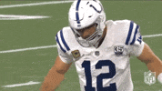 2018 Nfl Football GIF by NFL