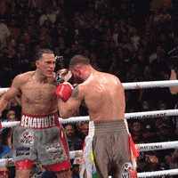 Fight Fighting GIF by Premier Boxing Champions