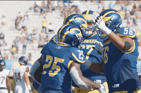 College Sports Hug GIF by Delaware Blue Hens