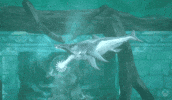 Deep-Sea Fish GIF by Xbox
