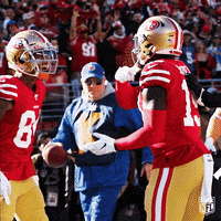 Happy National Football League GIF by NFL