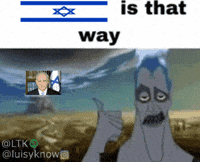 That Way Israel GIF