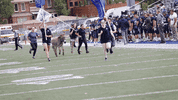 coschoolofmines football mascot marvin csm GIF