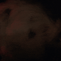 Cold Storage Cat GIF by MPC Paris