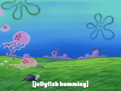 season 7 GIF by SpongeBob SquarePants