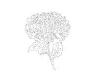 Flower 花 Sticker