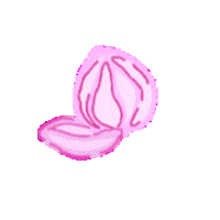 ink_valley pink flower green lotus Sticker