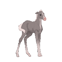 Horse Sticker
