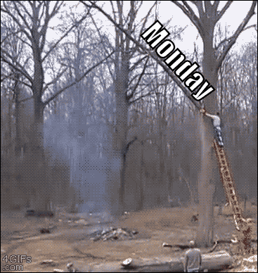 Monday No GIF by theCHIVE