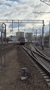 axoluwino poland pkp gdynia pomorskie GIF