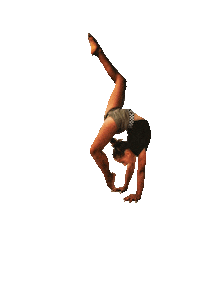 Sport Gym Sticker by Gym&dance