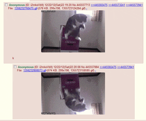 recursion GIF by Cheezburger