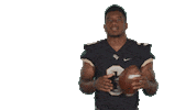 Ucf Football Orlando Sticker by UCF Knights