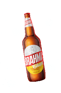 cerveza brahma Sticker by BrahmaParaguay
