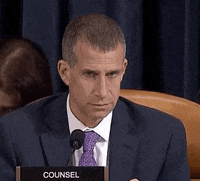 news listening impeachment impeachment inquiry steve castor GIF