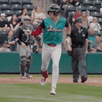 Columbus Clippers GIF by Clippers Baseball