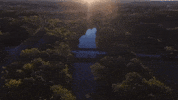 indiana GIF