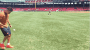 boston bruins football GIF by AS Roma