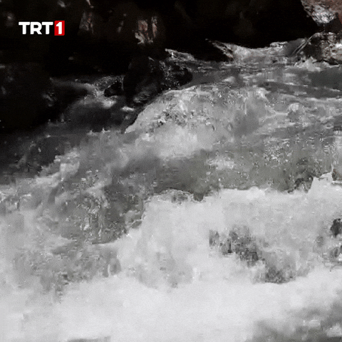 Summer Water GIF by TRT