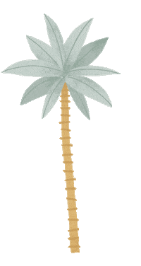 Vacation Surf Sticker