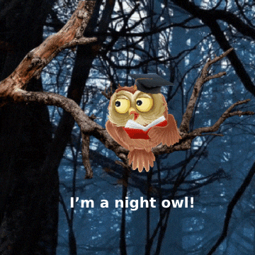 dustuncan giphyupload GIF