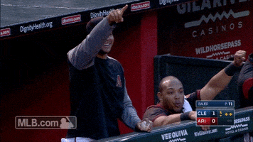 tomas celebrate GIF by MLB