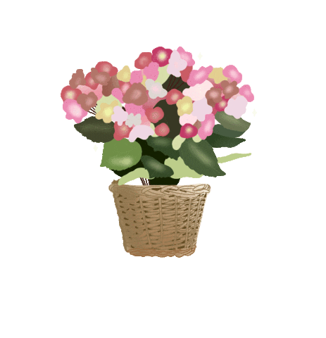 Wearelittlebuds flower flowers little bouquet Sticker