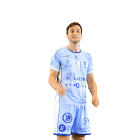 cchartresmhb sport handball balonmano lnh Sticker