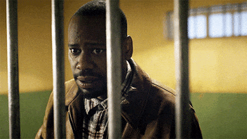 nbc rufus GIF by Timeless