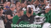 National Football League GIF by NFL