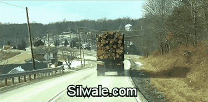 bad turn GIF by Silwale