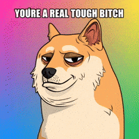 Sarcastic Shiba Inu GIF by Doge Pound