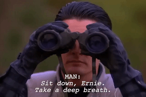 season 2 episode 13 GIF by Twin Peaks on Showtime