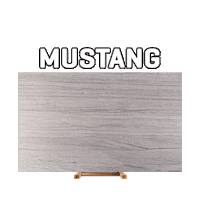 Mustang Quartzite Sticker by PBA Stones