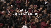 Fans Stanford GIF by Pac-12 Network