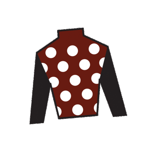 Horse Racing Sticker by Kentucky Derby