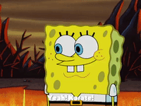 season 4 episode 6 GIF by SpongeBob SquarePants