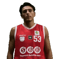 Sbbbaskets Sticker by Sportlermarketing