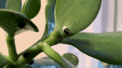 Dmvb GIF by DMV Beneficials
