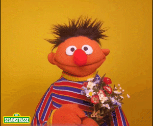 GIF by NDR
