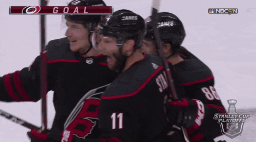 happy ice hockey GIF by NHL